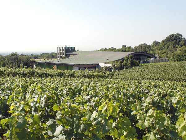 CA' DEL BOSCO | Producteur de vins italiens du Lombardie