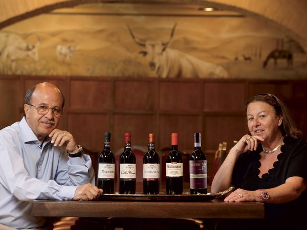 COLLEMASSARI | Producteur de vin de la région Toscane