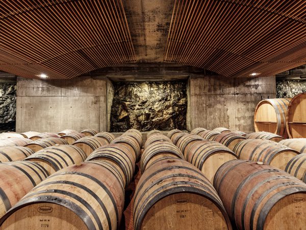 COLLEMASSARI | Producteur de vin de la région Toscane
