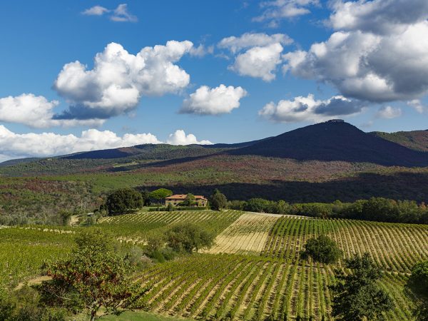 GRATTAMACCO | Producteur de vin de la région Toscane