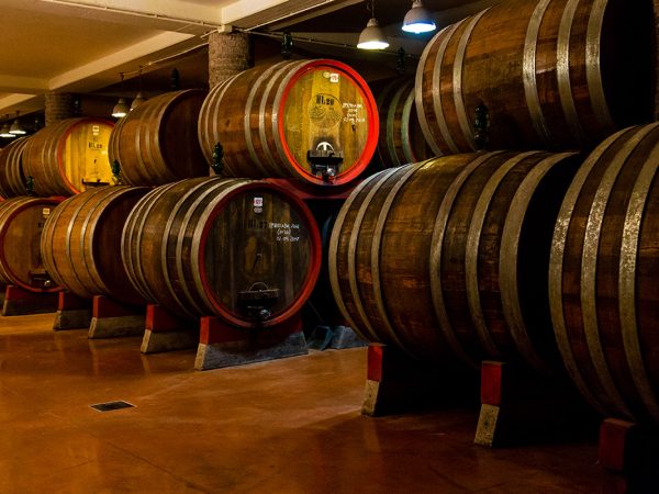 ILLUMINATI | Producteur de vin de la région Abruzzes