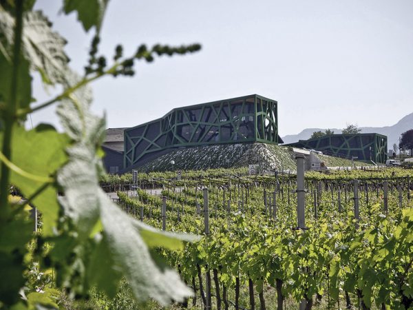 CANTINA TRAMIN | Producteur de vins italiens du Trentin-Haut-Adige