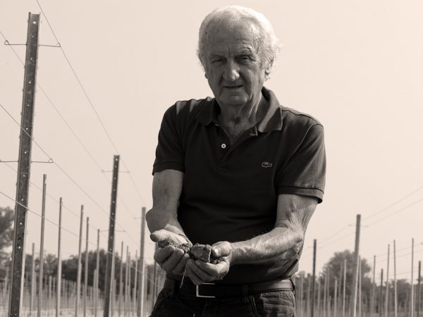 MEDICI ERMETE | Producteur de vin de la région Émilie-Romagne