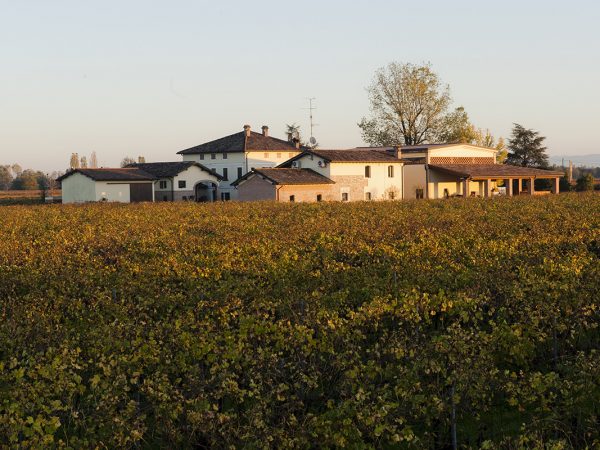 MEDICI ERMETE | Producteur de vin de la région Émilie-Romagne