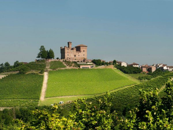 PIO CESARE | Producteur de vin de la région Piémont