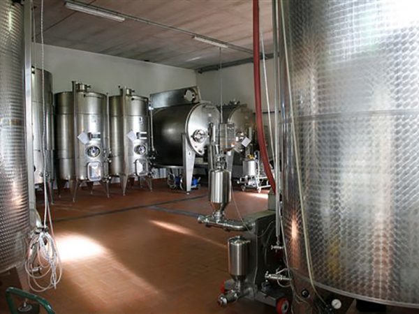 MARCO PORELLO | Producteur de vin de la région Piémont