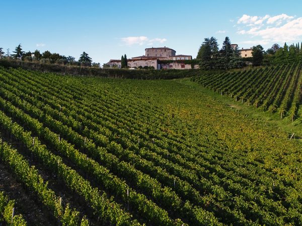 ROCCA DI CASTAGNOLI | Producteur de vin de la région Toscane