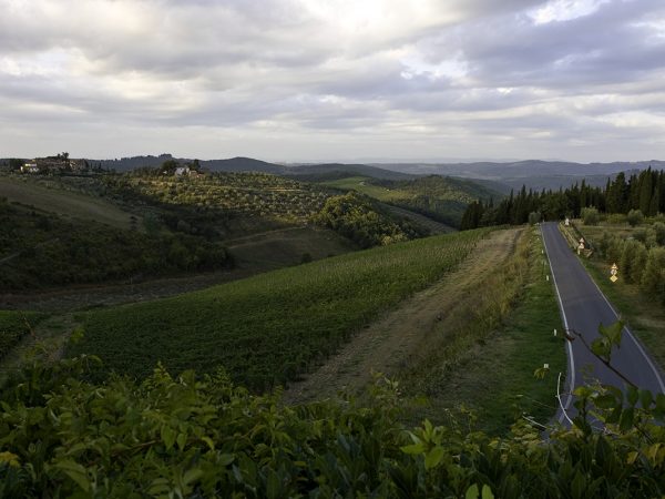 ROCCA DI CASTAGNOLI | Producteur de vin de la région Toscane