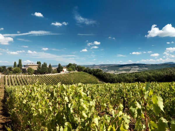 RUFFINO | Producteur de vin de la région Toscane