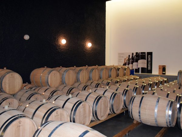 SERAFINI & VIDOTTO | Producteur de vin de la région Vénétie