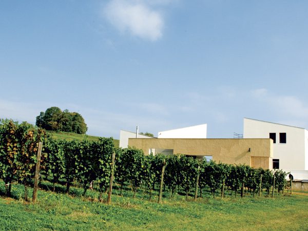 SERAFINI & VIDOTTO | Producteur de vin de la région Vénétie