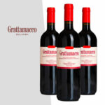 BOLGHERI SUPERIORE ROSSO DOC