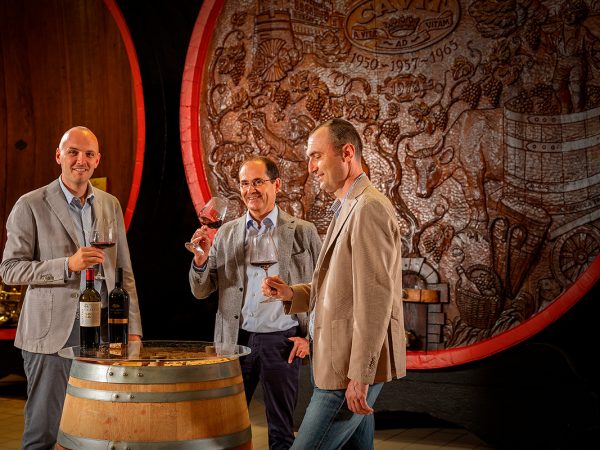 CAVIT TRENTO | Producteur de vin de la région Trentin-Haut-Adige