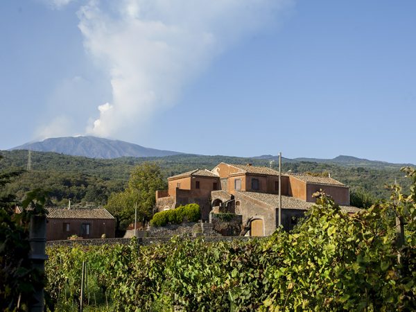 MANDRAROSSA | Producteur de vins italiens de Sicile