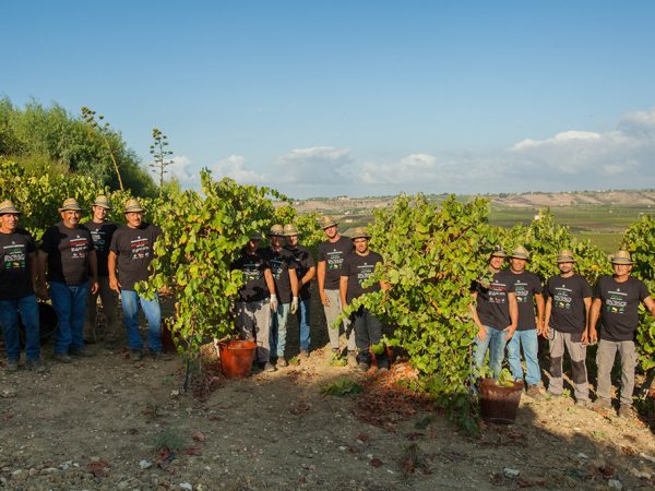 MANDRAROSSA | Producteur de vins italiens de Sicile