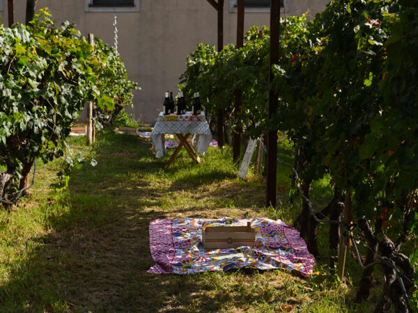 FEOTTO | Sicile | Producteur de vin et crus italiens