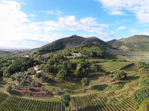 Montevetrano | Campanie | Producteur de vin et crus italiens