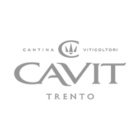CAVIT_gris