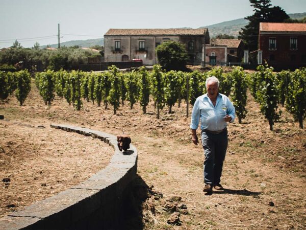 Tenuta Ferrata | Sicile | Producteur de vin et crus italiens