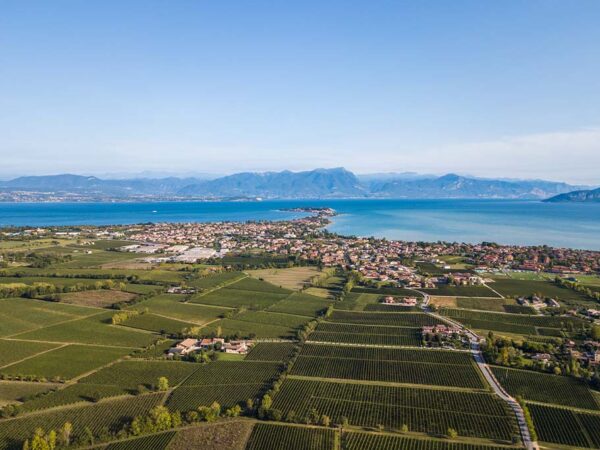 Cà Maiol | Lombardie | Producteur de vin et crus italiens