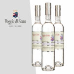 GRAPPA DI BRUNELLO DI MONTALCINO par POGGIO DI SOTTO