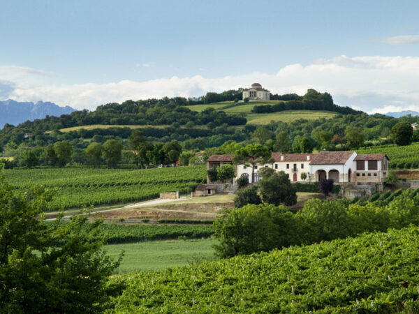 Inama produteur de vin en Italie région Vénitie