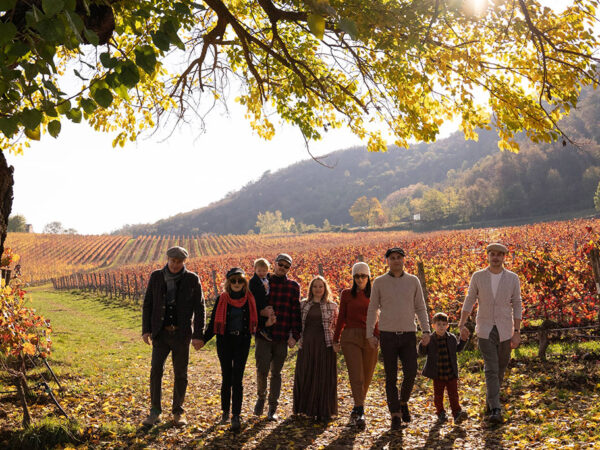 Inama produteur de vin en Italie région Vénitie