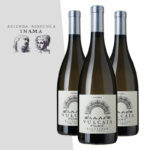 VULCAIA FUMÈ SAUVIGNON PAR INAMA