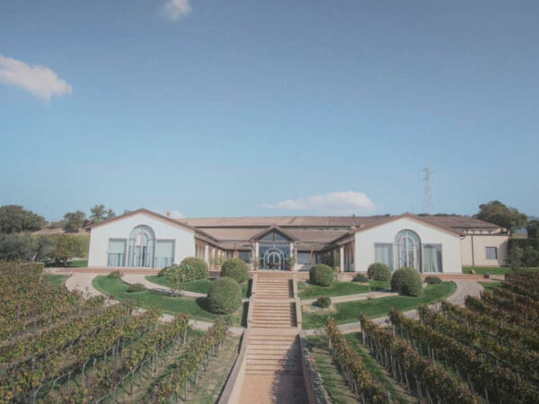 COTARELLA producteur de vin de la région Latium