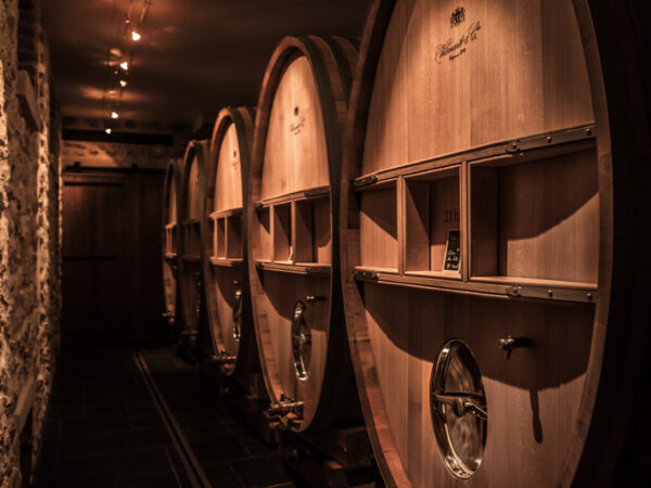 COTARELLA producteur de vin de la région Latium