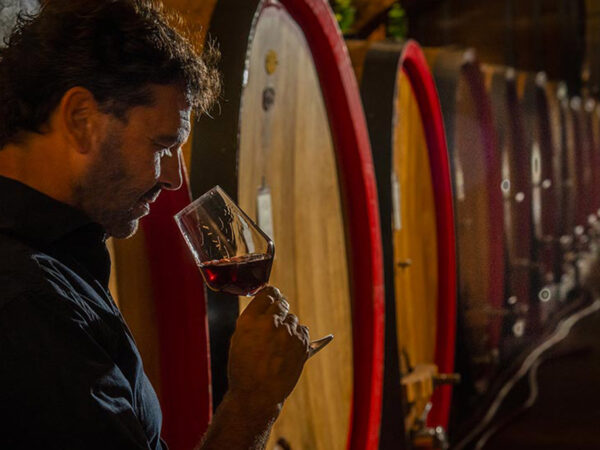 Rocche Costamagna producteur de vin en Italie, région Piémont