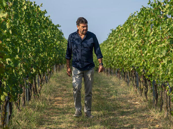 Rocche Costamagna producteur de vin en Italie, région Piémont