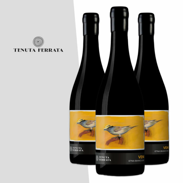 VENI ETNA BIANCO DOC
