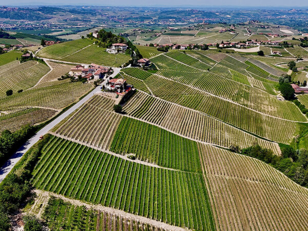 MAURO MOLINO producteur de vin italien dans la région Piémont MAURO MOLINO producteur de vin italien dans la région Piémont