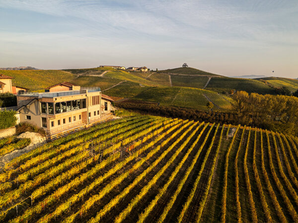 MAURO MOLINO producteur de vin italien dans la région Piémont MAURO MOLINO producteur de vin italien dans la région Piémont
