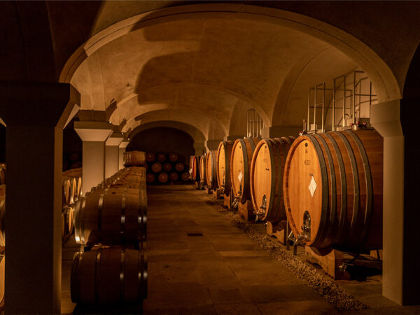 MAURO MOLINO producteur de vin italien dans la région Piémont MAURO MOLINO producteur de vin italien dans la région Piémont