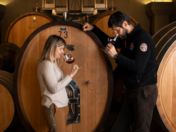 MAURO MOLINO producteur de vin italien dans la région Piémont MAURO MOLINO producteur de vin italien dans la région Piémont